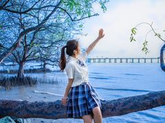 -宝安西湾红树林湿地公园