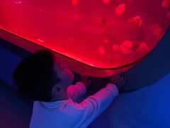 -福州罗源湾海洋世界旅游区