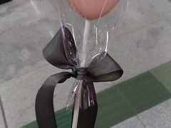 -WHEN PIGS FLY当猪飞
