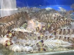 -雅逸居海鲜小厨