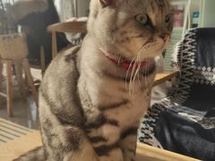 -平行世界·猫咖(首经贸店)