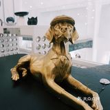 探店北京 | 北欧既视感🎞市中心的纯白艺术洞穴🏰拍照圣地