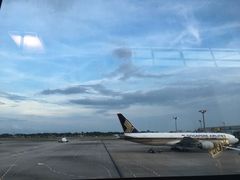 -新加坡航空公司(ION)