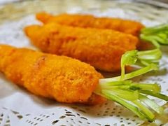 -丁老爷子苏香圆