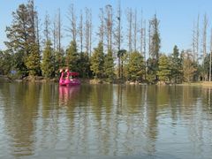 -上海长兴岛郊野公园