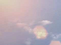 -鲜芋仙(铁西万象汇店)