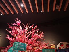 -新影联·华谊兄弟影院(望京店)