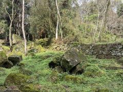 -唐崖土司城遗址