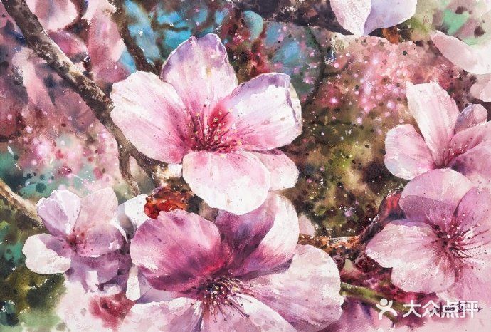 台湾画家林经哲樱花水彩画作品欣赏[礼花][礼花]