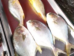 -东海金街市场