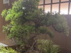 -湘邻呷铺·田园家宴(汉基广场店)