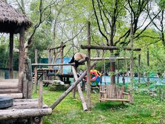 -上海野生动物园老虎餐厅