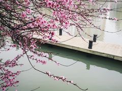 -南通濠河风景名胜区