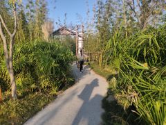 -上海长兴岛郊野公园