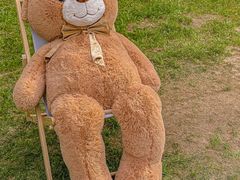 -黄海国家森林公园