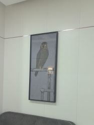 -AIST爱思特医疗美容医院