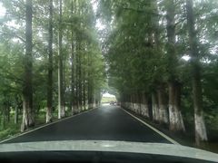 -南汇嘴观海公园