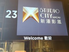 -影汇之星8字形摩天轮