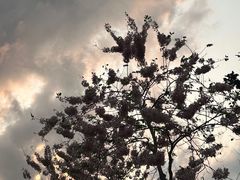 -白石龙音乐公园