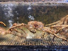 -海鲜e族(马王堆店)