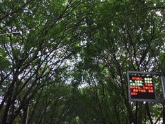 -南方医科大学南方医院(院本部)