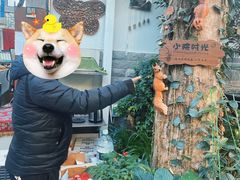 -丽江庭院之丽江往事(安定门店)