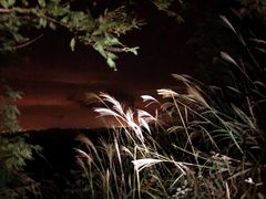 -东白山
