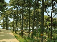 -北京西山国家森林公园