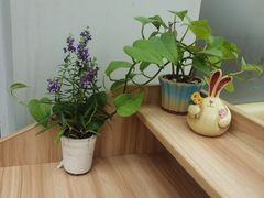 -TIMO COFFEE 阿拉校园面包