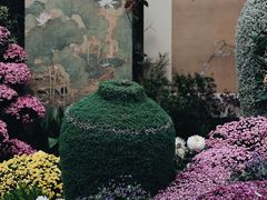 -杭州植物园