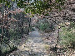 -苏州上方山国家森林公园