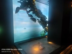 -金来·影院足道(埃美柯店)