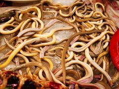 -肥弟大排档(汕樟路店)
