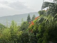 -三亚亚龙湾人间天堂鸟巢度假村
