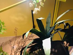 -花蒲甜品(海信广场店)