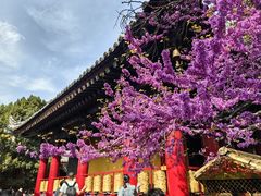 -西安市广仁寺