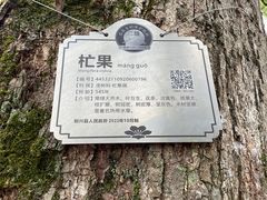 -国恩寺