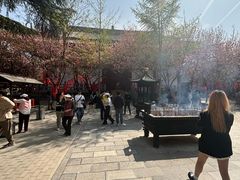 -西安青龙寺遗址景区