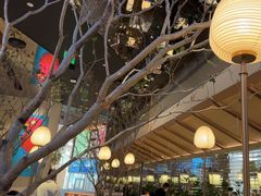 -桂满陇·海市蜃楼·黑金(国金店)