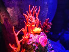 -沈阳海洋探索中心