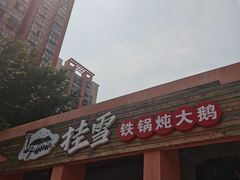 -挂雪铁锅炖大鹅