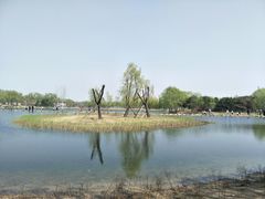 -大兴滨河森林公园