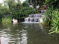 -圩墩遗址公园