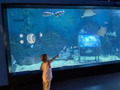 -烟台海昌鲸鲨海洋公园