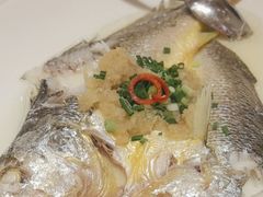 -半岛太子酒家(海港城店)