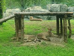 -北京野生动物园