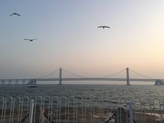 -星海湾跨海大桥
