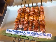 -很久以前羊肉串(朝阳路店)