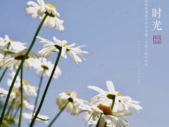 -上海滨江森林公园