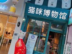 -猫咪博物馆(顶澳仔猫街店)
